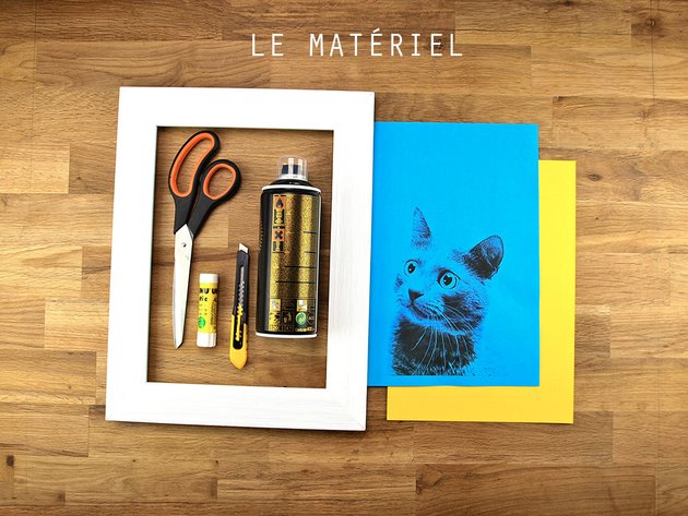 Source : https://www.deco.fr/loisirs-creatifs/actualite-737557-tuto-portrait-pop-art-chat.html