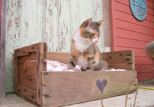 recyclage-palettes-bois-7