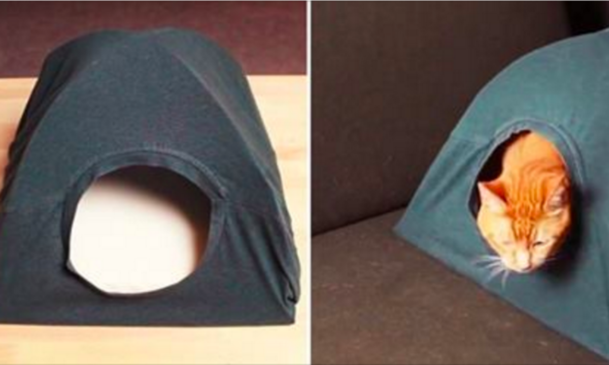 Diy Creer Une Superbe Cabane Pour Votre Chat