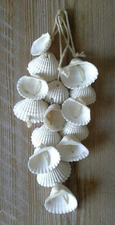 decorazione-con-conchiglie-5