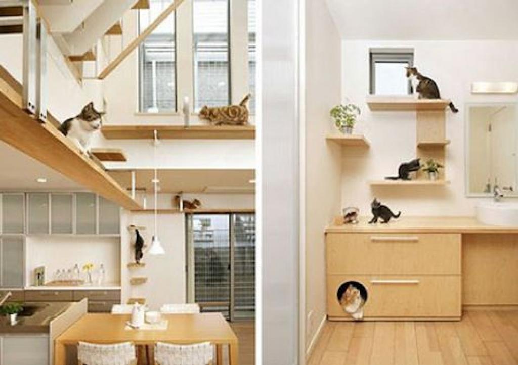 inline_3319_576ed29953bee