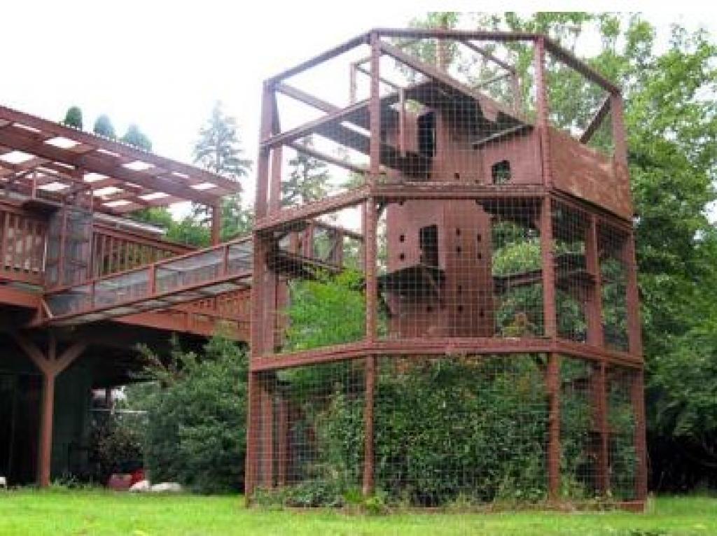 inline_3319_576ed2bde1554