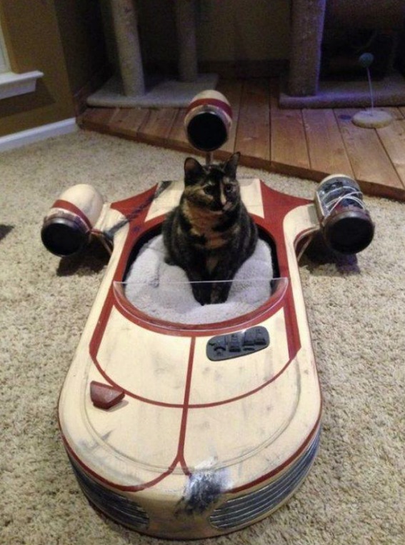 capture 2016-08-25 à 16.54.09