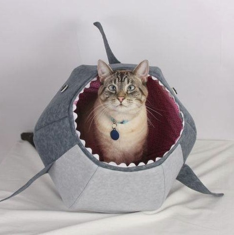 capture 2016-08-25 à 16.55.31