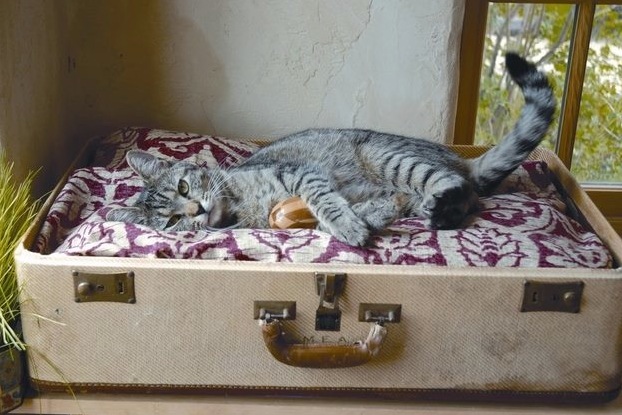 capture 2016-08-25 à 16.56.22