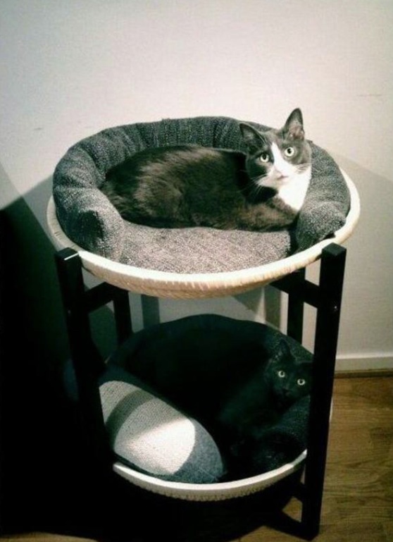 capture 2016-08-25 à 16.57.15