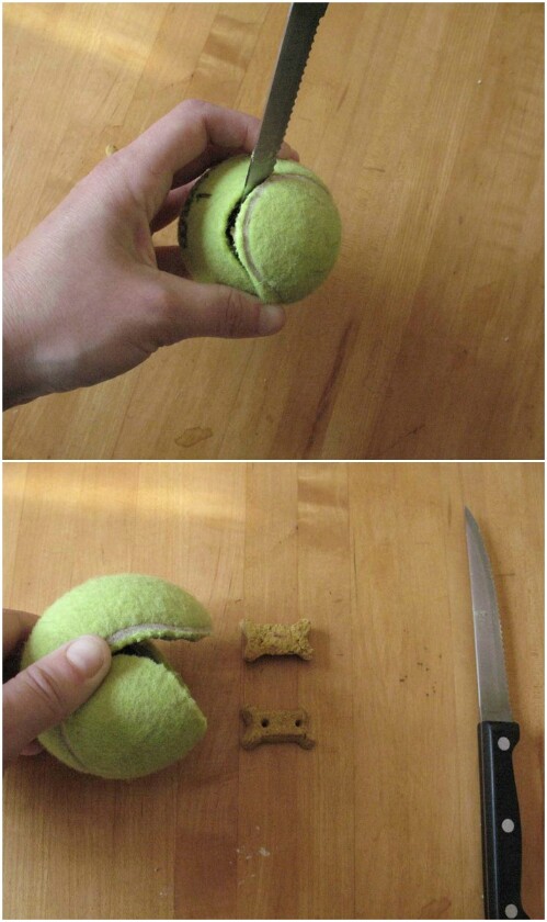 10-tennis-ball-toy