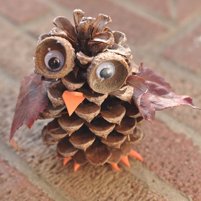 broogly.com