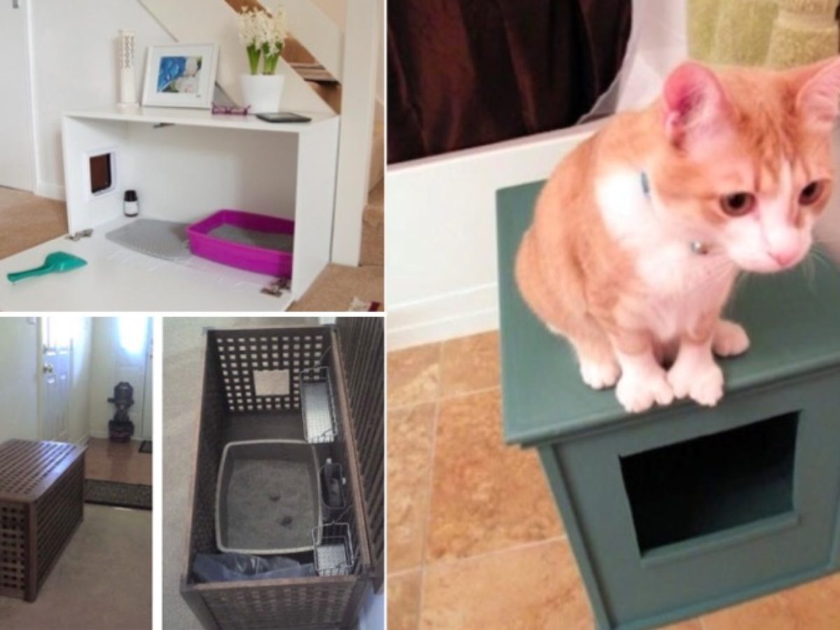 Bac Litiere Chat Fait Maison | Ventana Blog