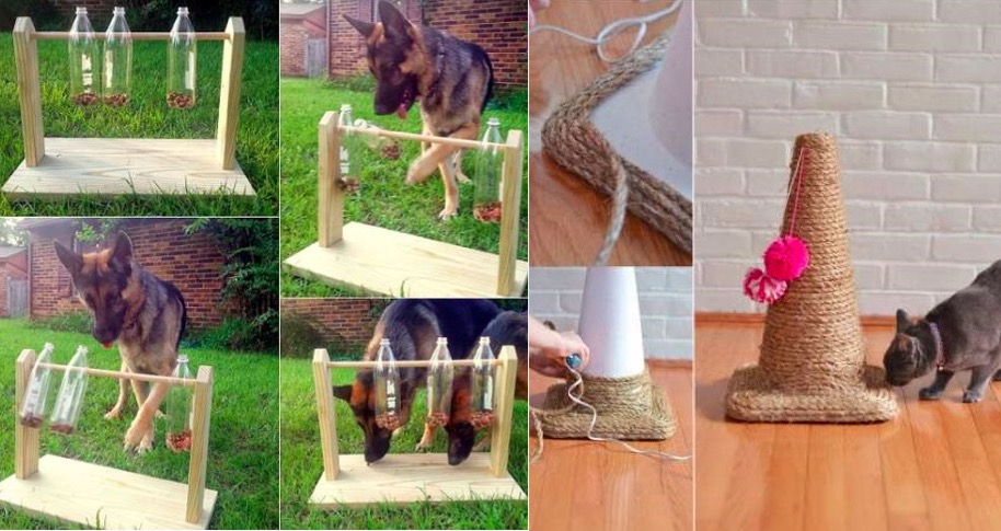 18 jouets faits maison pour votre chat ou chien - Page 2 sur 3