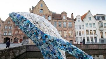 baleine