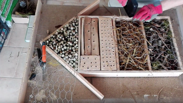 hôtel à insectes