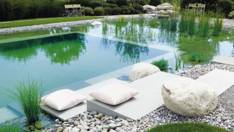 piscine naturelle