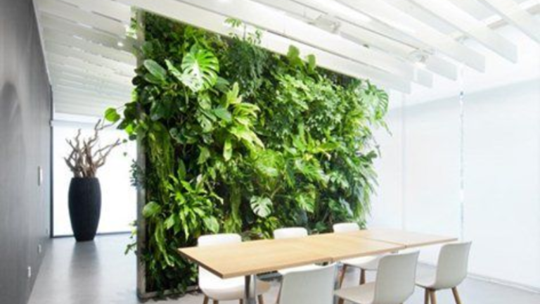 jardin vertical