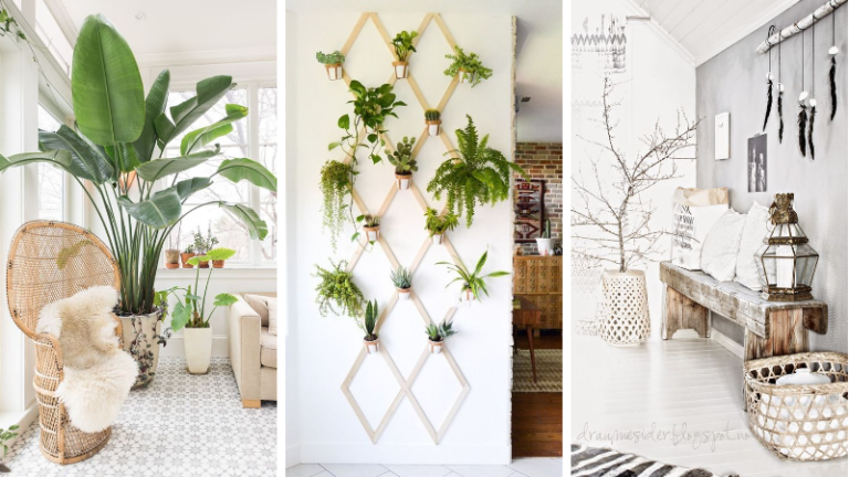 décor nature