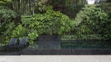 jardin luxuriant