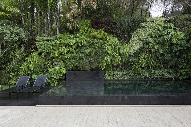 jardin luxuriant