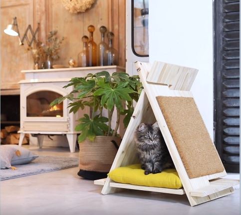 cachette chat
