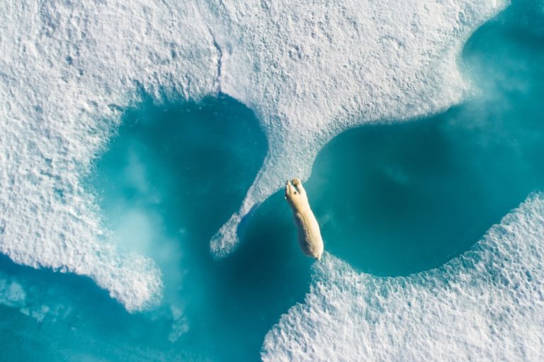 drone awards