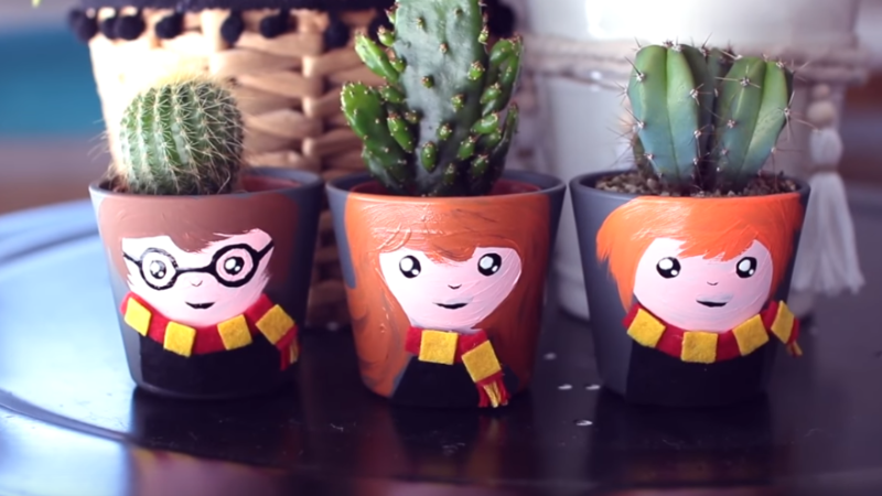 Tuto Harry Potter cactus