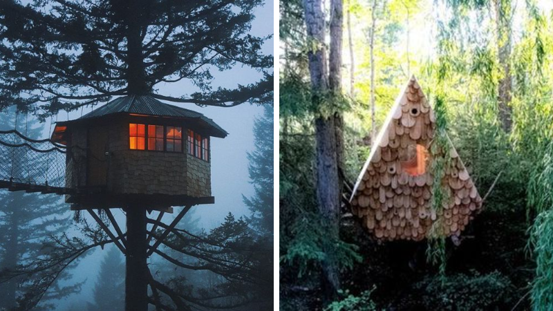 cabane dans les arbres
