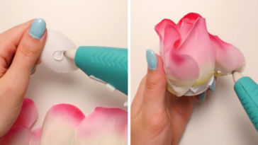 rose lumineuse