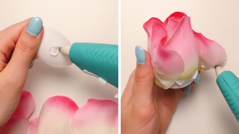 rose lumineuse