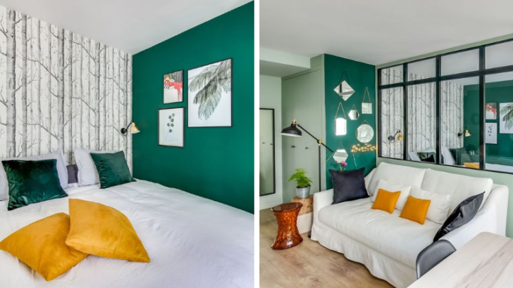 Avant - Après : visitez un intérieur qui s'est mis au vert