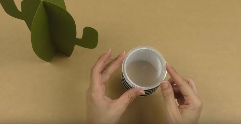 cactus papier