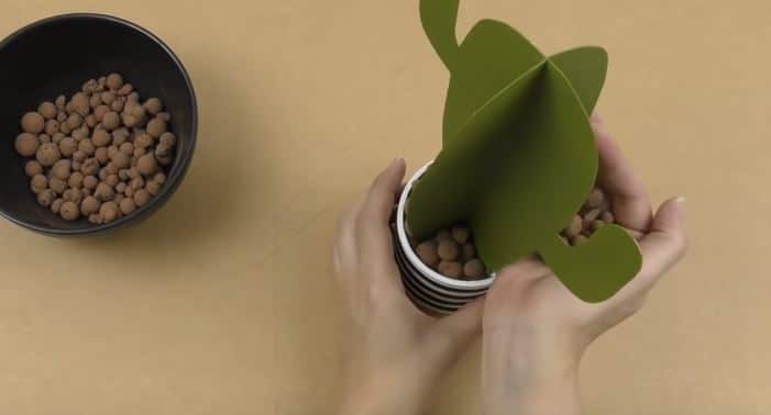 cactus papier