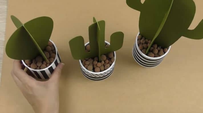 cactus papier