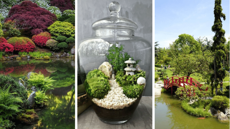 jardin japonais