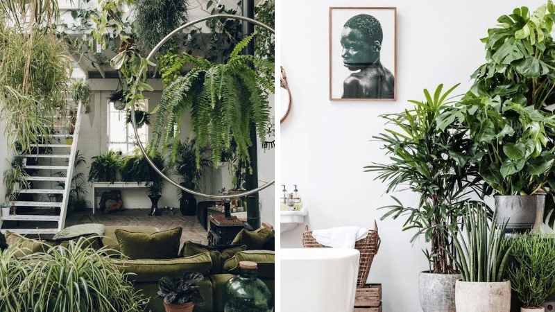 déco jungle