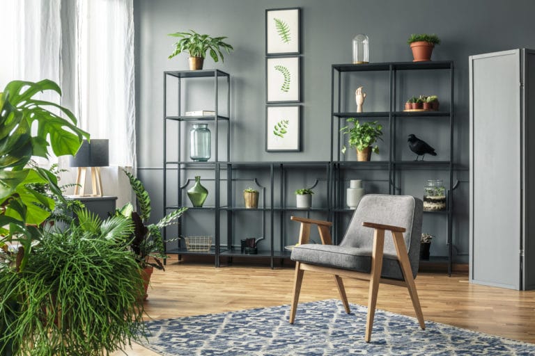 esprit jungle salon