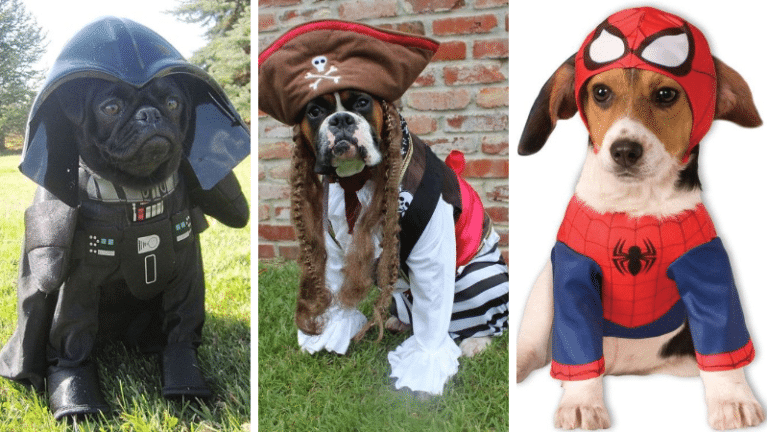 Déguisement chiens
