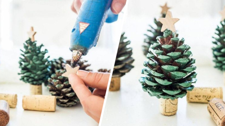 sapin en pomme de pin