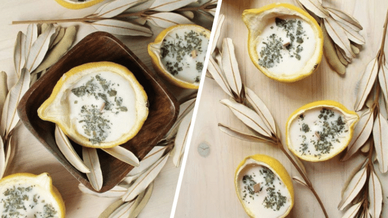 bougies dans des citrons