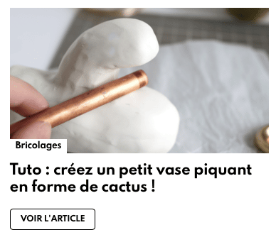 capture d'écran desidees.net