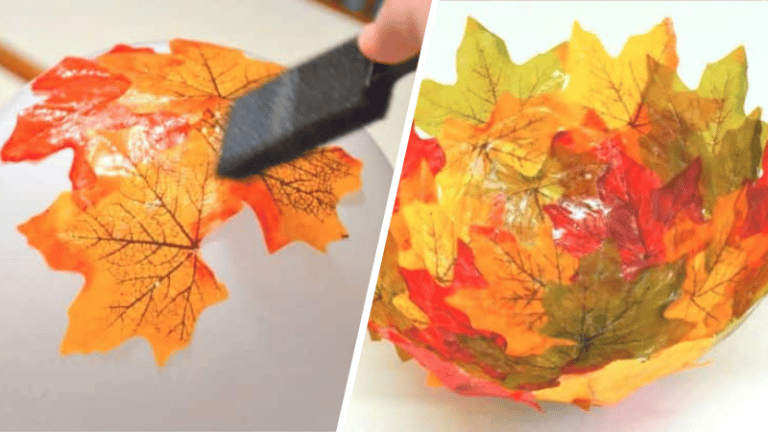 bol d'automne avec des feuilles mortes