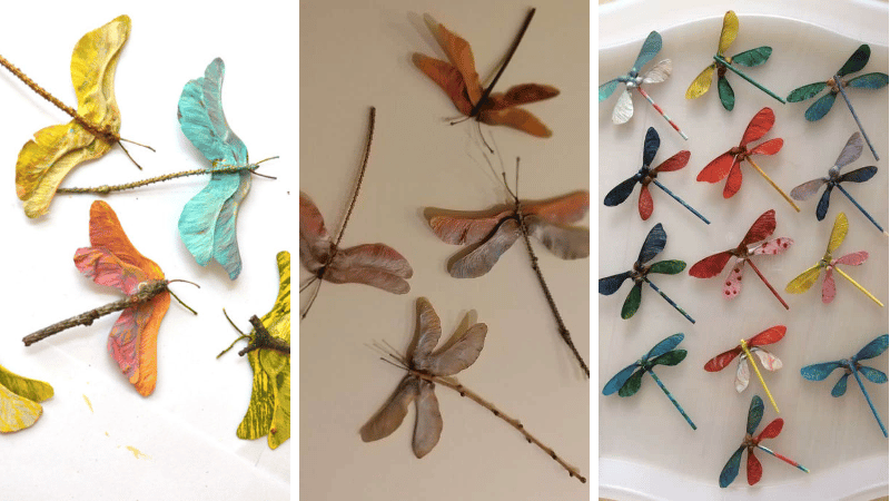 transformer des graines d'érable en libellule