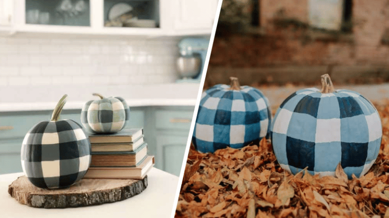 citrouille motif plaid