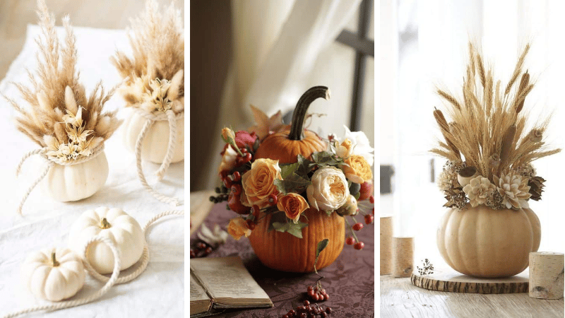 citrouille garnie de fleurs séchées