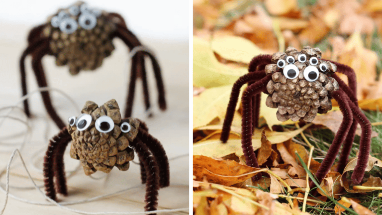 araignée avec une pomme de pin
