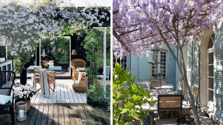 pergolas jardin inspirations plantes grimpantes fleurs