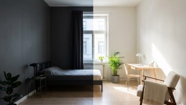 Couleur mur petit studio lumineux : les 4 teintes qui reflètent 30% de lumière en plus